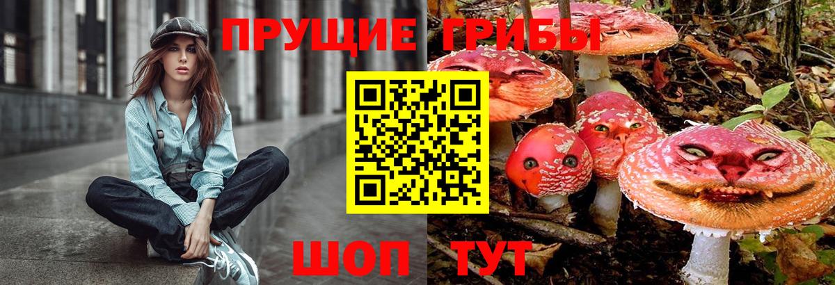 Псилоцибиновые грибы Psilocybine cubensis Красный Сулин