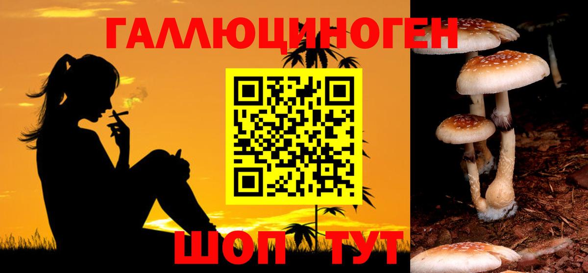 Псилоцибиновые грибы Magic Shrooms  Вход с VPN  Красный Сулин 